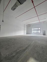 Ct Foodnex (D25), Factory #487061271